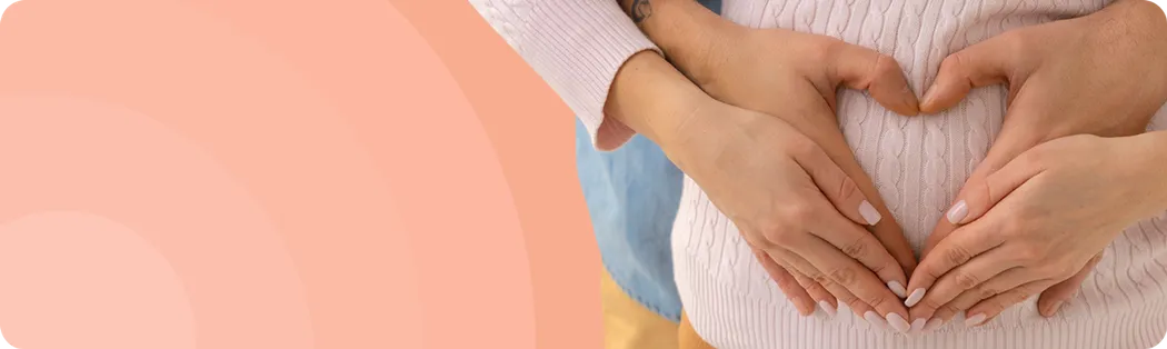 <h1><strong>How to get pregnant</strong></h1>